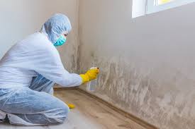 Professional Mold Inspection in Dacono, CO